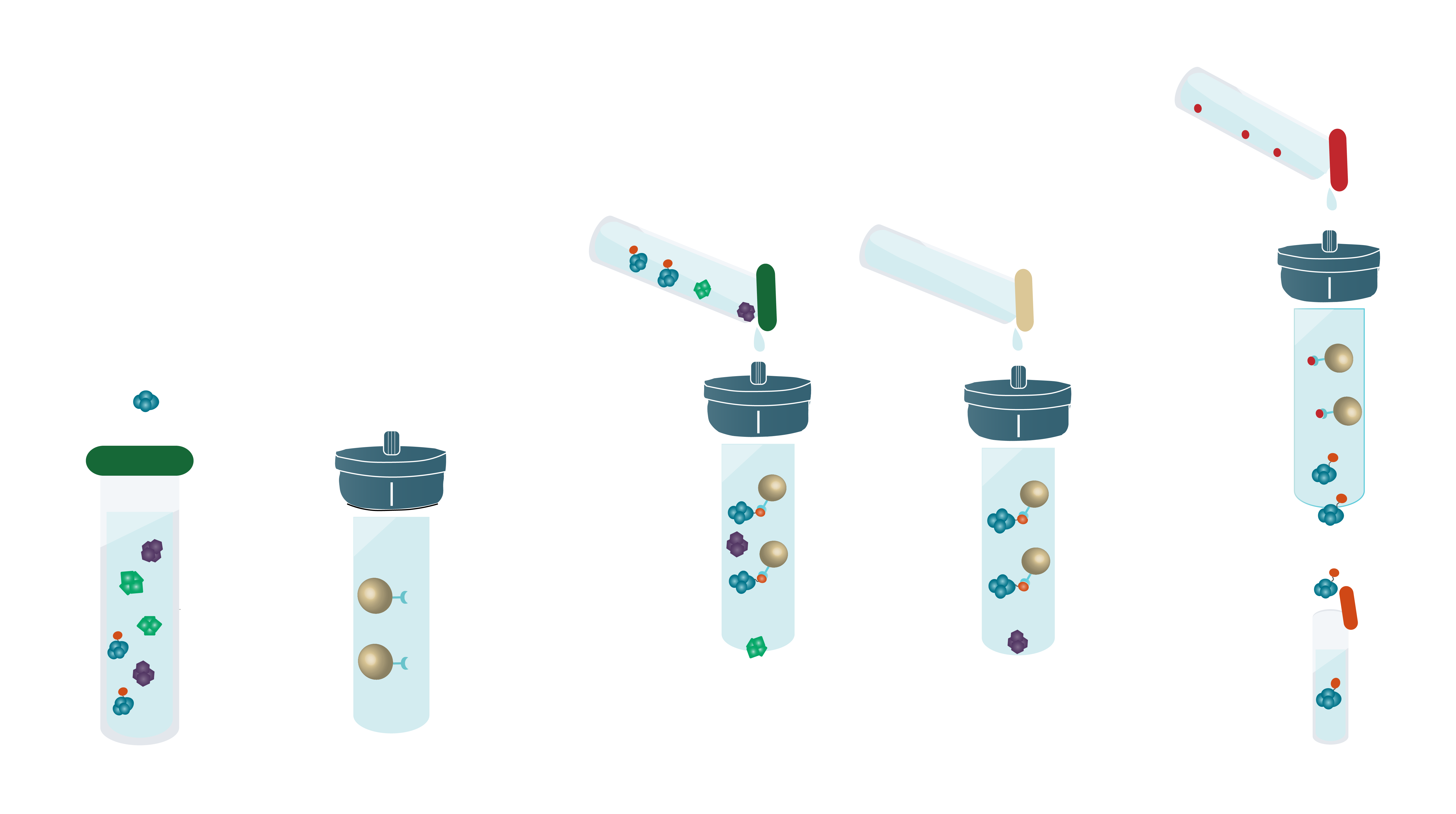 affinity-chromatography-principles